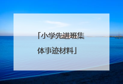 小学先进班集体事迹材料