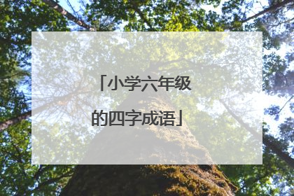 小学六年级的四字成语