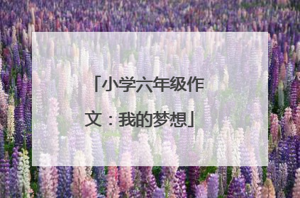 小学六年级作文:我的梦想