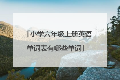 小学六年级上册英语单词表有哪些单词