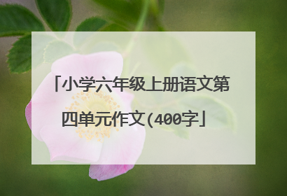 小学六年级上册语文第四单元作文(400字