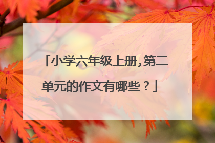 小学六年级上册,第二单元的作文有哪些？