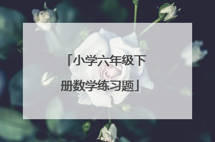 小学六年级下册数学练习题