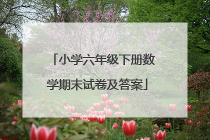小学六年级下册数学期末试卷及答案