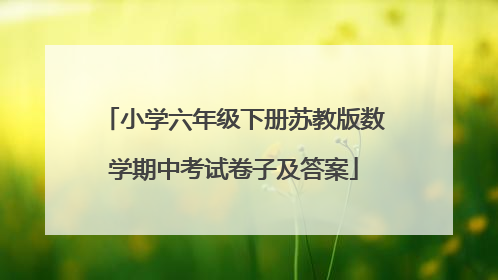 小学六年级下册苏教版数学期中考试卷子及答案