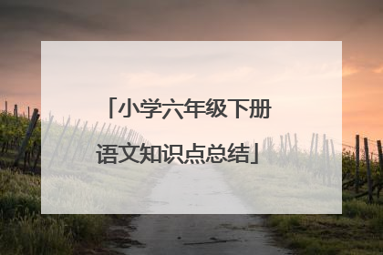 小学六年级下册语文知识点总结