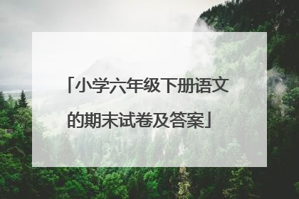 小学六年级下册语文的期末试卷及答案