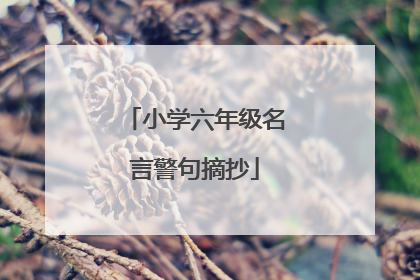 小学六年级名言警句摘抄