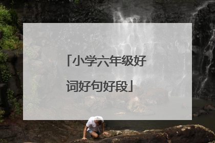 小学六年级好词好句好段