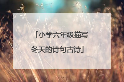 小学六年级描写冬天的诗句古诗