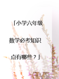 小学六年级数学必考知识点有哪些?
