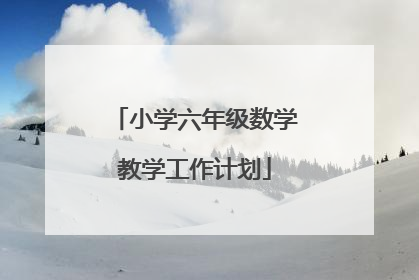 小学六年级数学教学工作计划