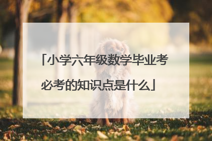 小学六年级数学毕业考必考的知识点是什么