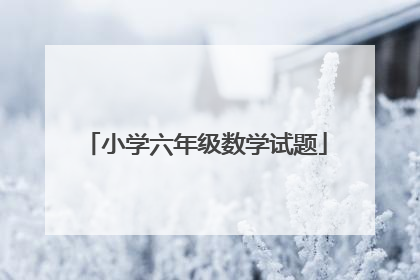 小学六年级数学试题