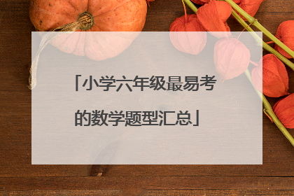 小学六年级最易考的数学题型汇总