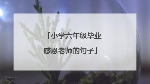 小学六年级毕业感恩老师的句子