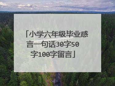 小学六年级毕业感言一句话30字50字100字留言