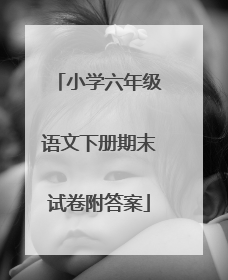 小学六年级语文下册期末试卷附答案