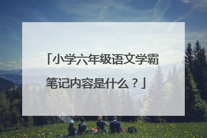 小学六年级语文学霸笔记内容是什么？