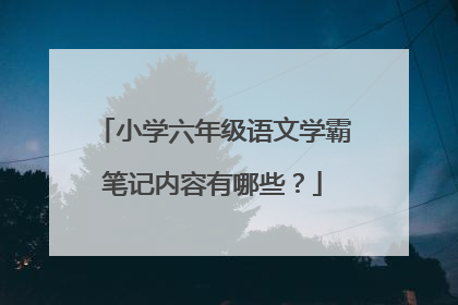小学六年级语文学霸笔记内容有哪些？