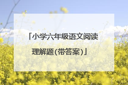 小学六年级语文阅读理解题(带答案)