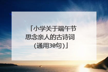 小学关于端午节思念亲人的古诗词(通用30句)