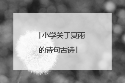 小学关于夏雨的诗句古诗
