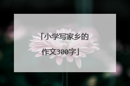小学写家乡的作文300字