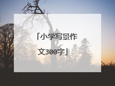 小学写景作文300字