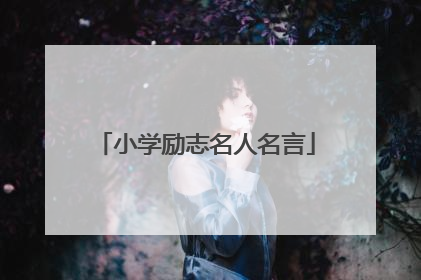 小学励志名人名言