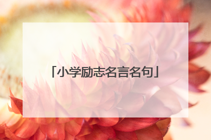 小学励志名言名句