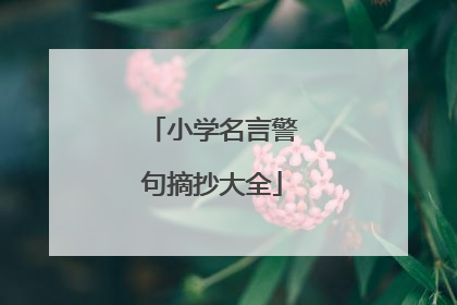 小学名言警句摘抄大全