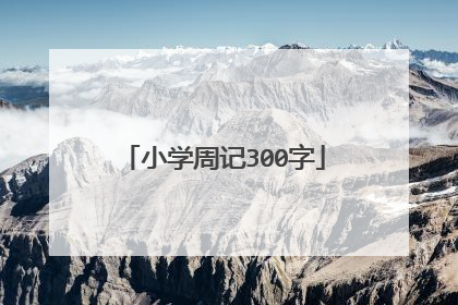 小学周记300字