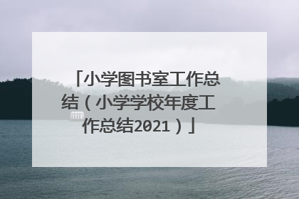 小学图书室工作总结(小学学校年度工作总结2021)