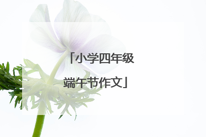 小学四年级端午节作文