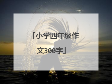 小学四年级作文300字