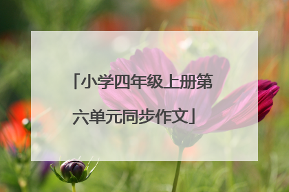 小学四年级上册第六单元同步作文