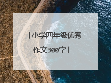 小学四年级优秀作文300字
