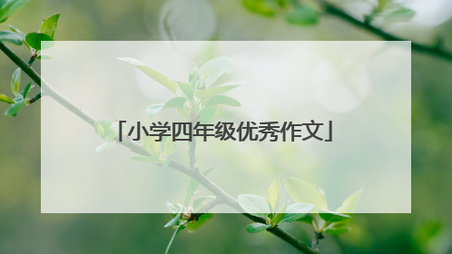 小学四年级优秀作文