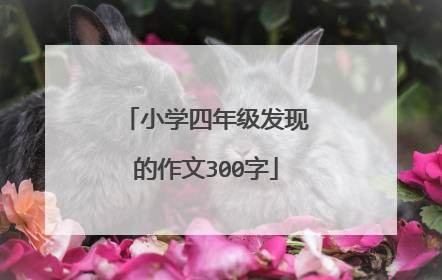 小学四年级发现的作文300字