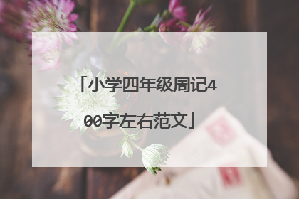 小学四年级周记400字左右范文
