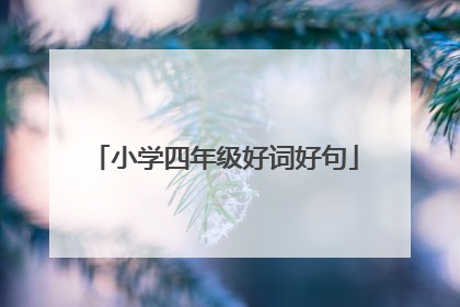 小学四年级好词好句