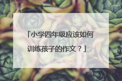 小学四年级应该如何训练孩子的作文？