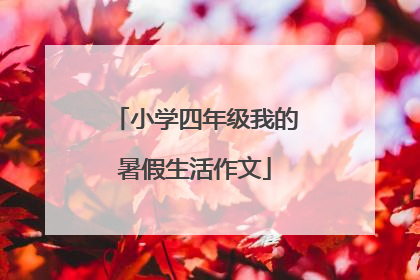 小学四年级我的暑假生活作文