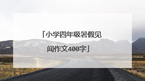 小学四年级暑假见闻作文400字