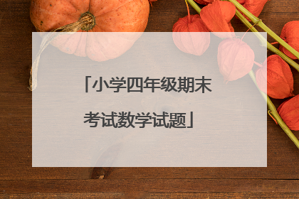 小学四年级期末考试数学试题