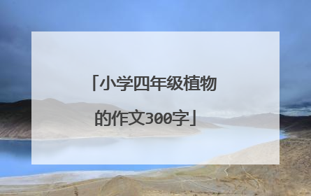 小学四年级植物的作文300字