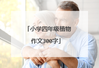 小学四年级植物作文300字