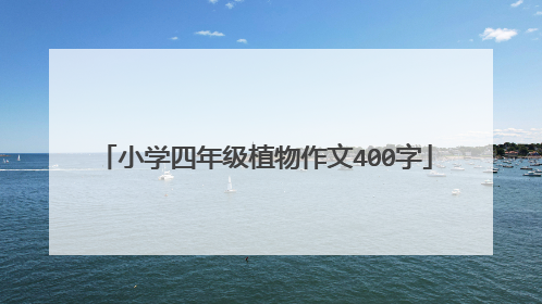 小学四年级植物作文400字