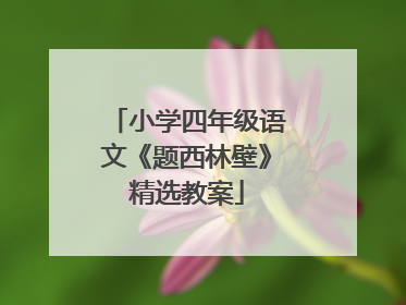 小学四年级语文《题西林壁》精选教案